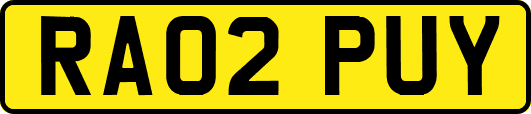 RA02PUY