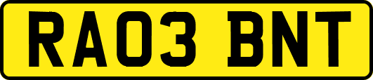 RA03BNT