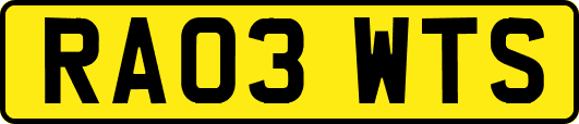 RA03WTS