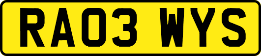 RA03WYS