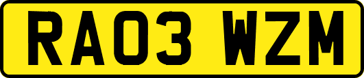 RA03WZM
