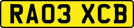 RA03XCB