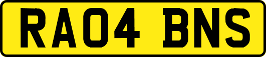 RA04BNS