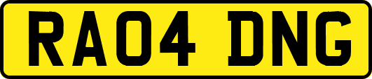 RA04DNG