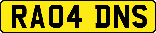 RA04DNS