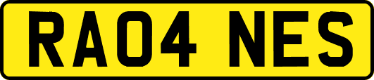 RA04NES