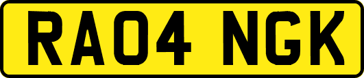 RA04NGK
