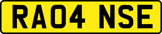 RA04NSE