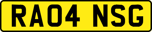 RA04NSG