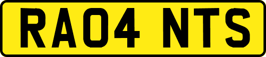 RA04NTS