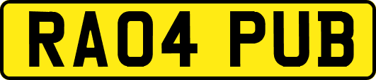RA04PUB