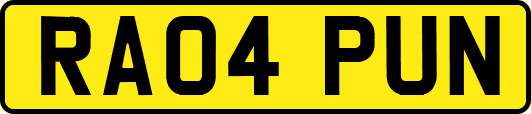 RA04PUN
