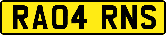 RA04RNS