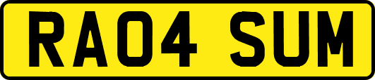 RA04SUM