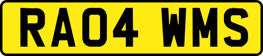 RA04WMS