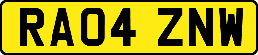 RA04ZNW