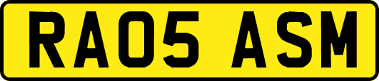 RA05ASM