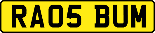 RA05BUM