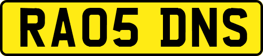 RA05DNS