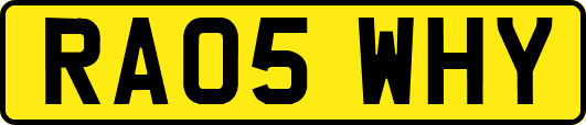 RA05WHY