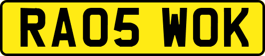 RA05WOK