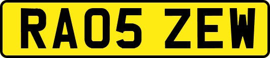 RA05ZEW