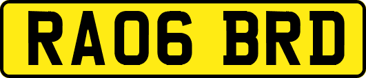 RA06BRD