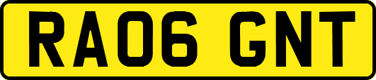 RA06GNT