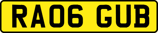 RA06GUB