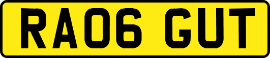 RA06GUT
