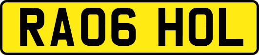 RA06HOL