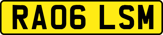 RA06LSM