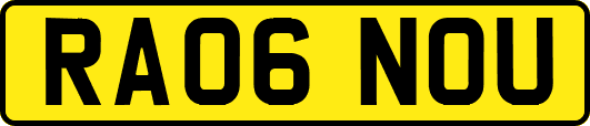 RA06NOU