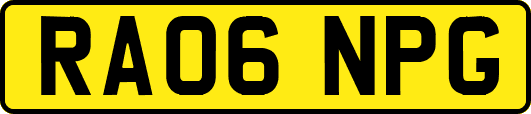RA06NPG