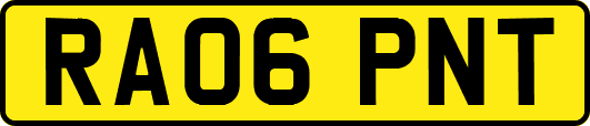 RA06PNT