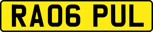 RA06PUL