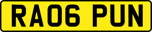 RA06PUN