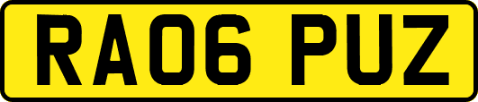 RA06PUZ