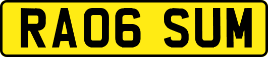 RA06SUM