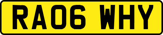 RA06WHY