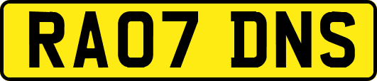 RA07DNS