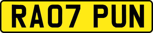 RA07PUN