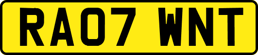 RA07WNT