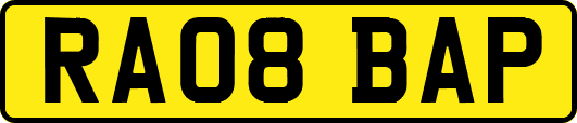 RA08BAP