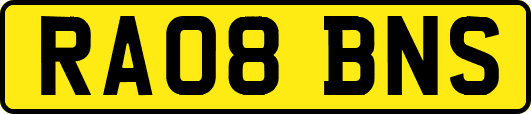 RA08BNS