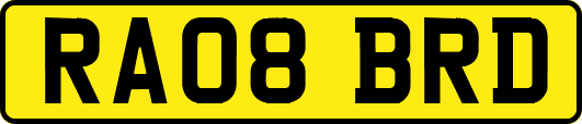 RA08BRD
