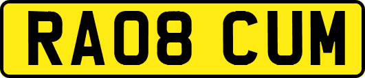 RA08CUM