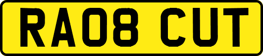 RA08CUT