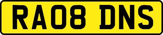 RA08DNS