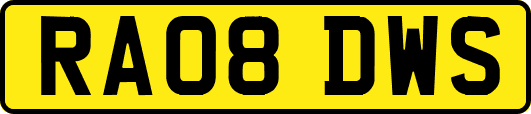 RA08DWS